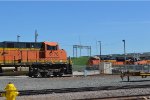 Wichita falls yard